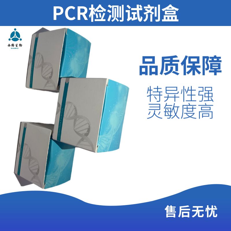 UDG多重探针法荧光定量PCR试剂盒（防污染系统）