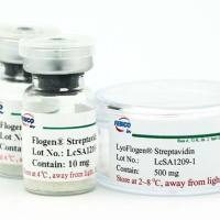 Lyophilized Core Streptavidin, Recombinant (链霉亲和素)
