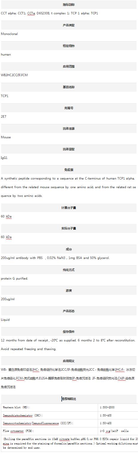 Anti-TCP1 Antibody (Clone#2E7)