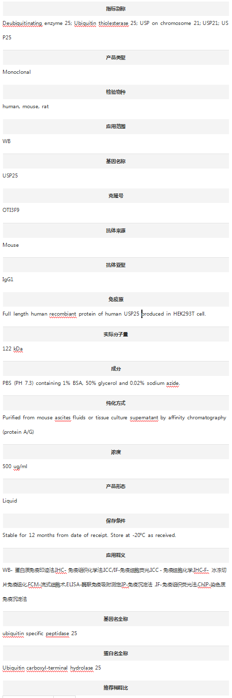 Anti-USP25 Antibody (Clone#OTI