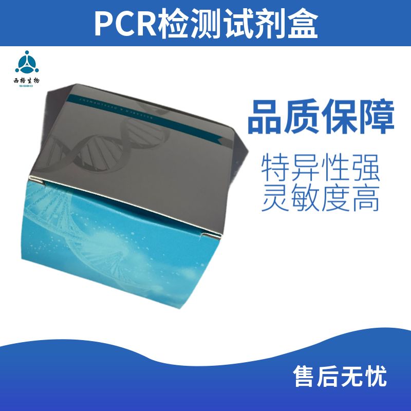 一步染料法RT-qPCR试剂盒