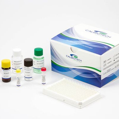 dsDNA IgG ELISA / 抗双链DNA抗体elisa检测试剂盒