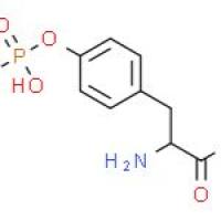 L-磷酸酪氨酸