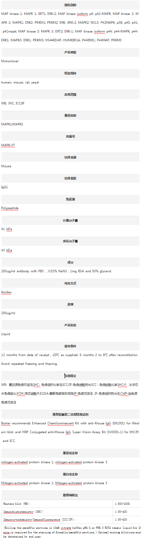 Anti-MAP Kinase, Activated(Dip