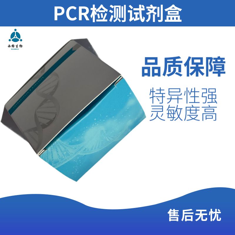 染料法荧光定量PCR试剂盒（抗体修饰）