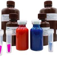 冻干态藻红蛋白Lyophilized R-Phycoerythrin (Lyo-RPE)