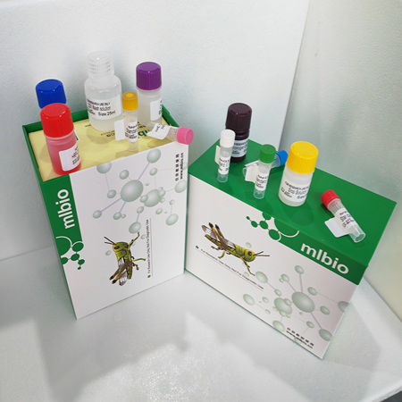 岁末ELISA试剂盒全场折扣超实惠