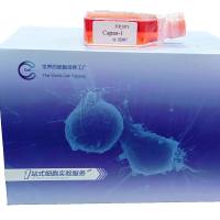 HCC1569/HL-1/4T1/HCT116/AC16/LX-2/STR鉴定