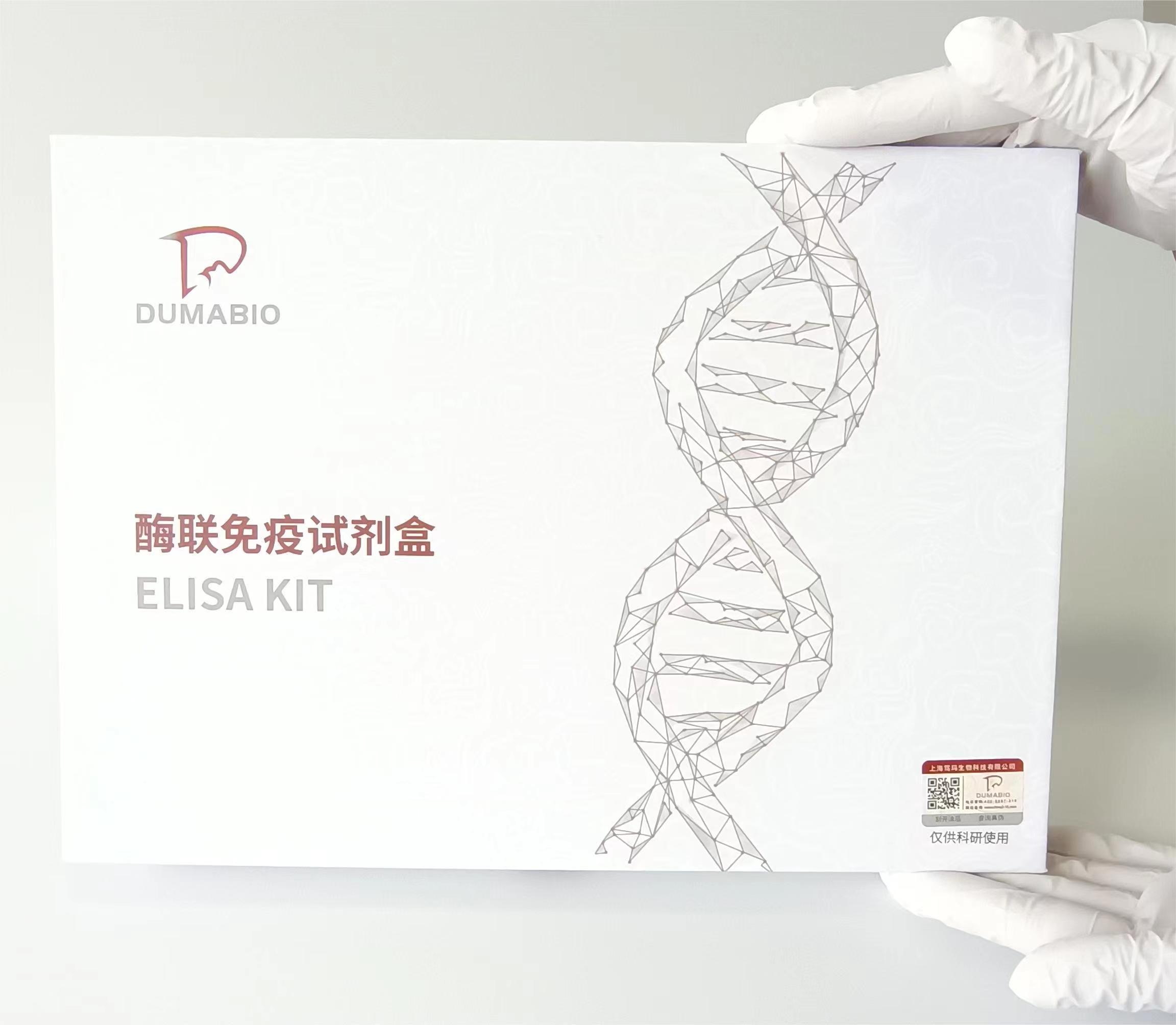 人细胞毒素相关蛋白A(CagA)ELISA试剂盒