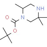 叔丁基2,5,5-三甲基哌嗪-1-甲酸叔丁酯