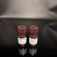 链霉亲合素,17 units/mg(蛋白质)