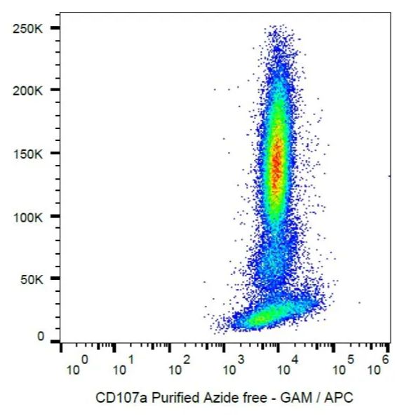 Anti-CD107a Antibody [H4A3] - BSA and Azide free (A86537)