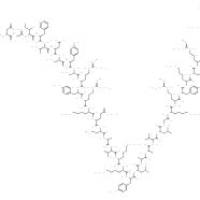 腺苷酸环化酶激活肽-38(抗原)