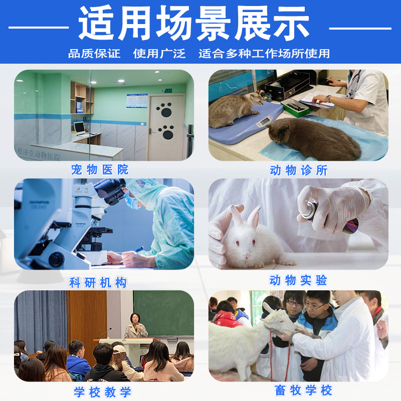 大动物麻醉呼吸机    大动物呼吸麻醉机，动物麻醉机   移