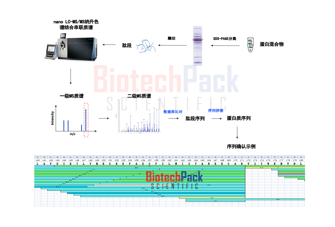 技术资料图片1