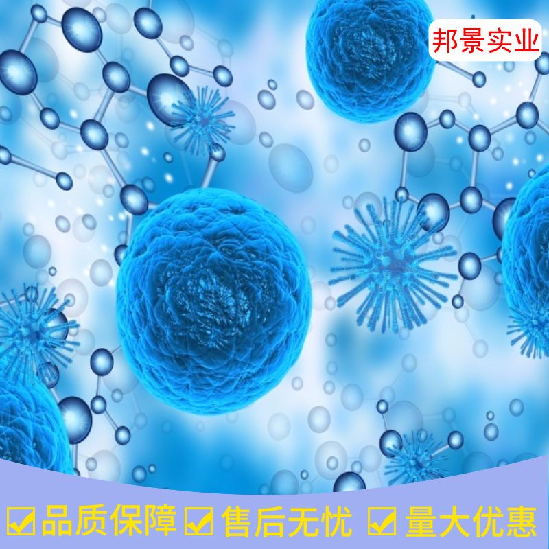 JMSU1细胞产品图