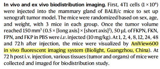 【文献速递】一种用于癌症治疗的金属卟啉纳米装置的研究