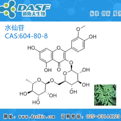 芸香提取物 水仙苷1%-99% CAS:604-80-8 生产厂家