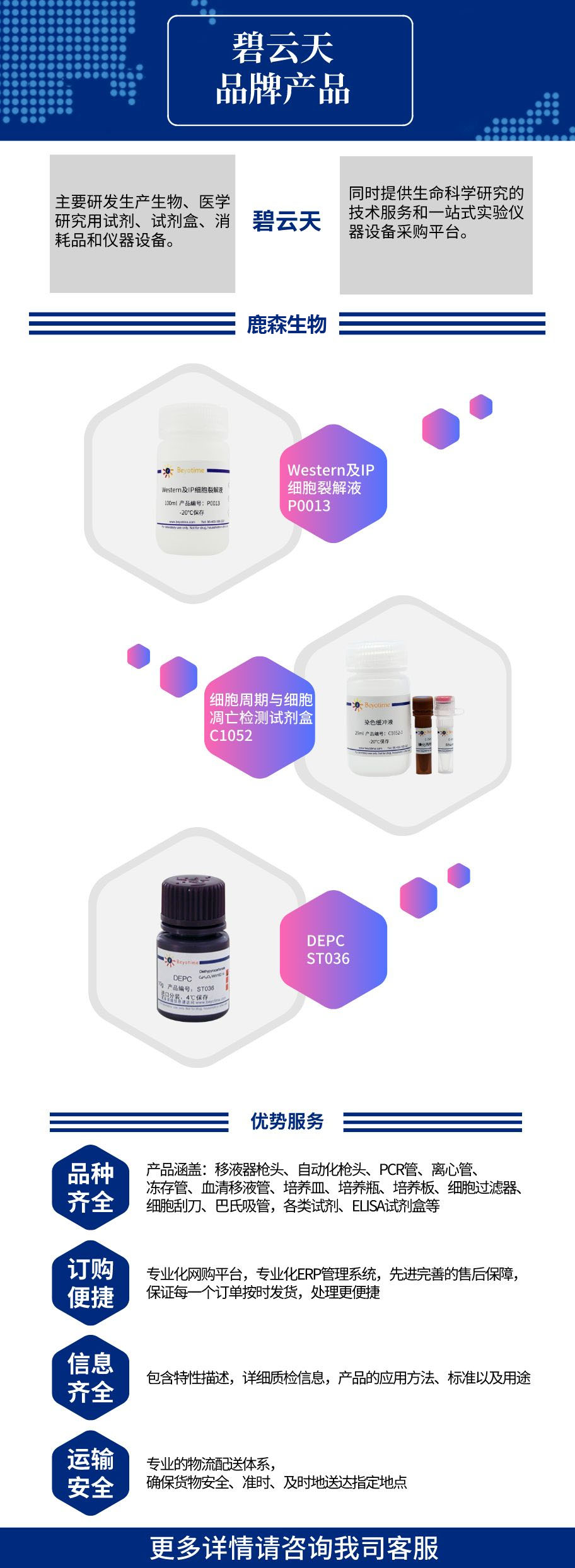 碧云天│ 彩色预染蛋白质分子量标准(10-180kD),P0