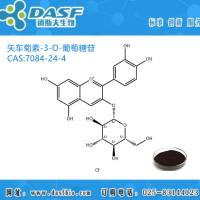 黑豆皮提取物 矢车菊素-3-O-葡萄糖苷 1%-99% CAS:7084-24-4