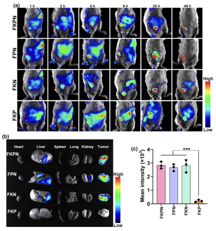 【文献速递】一种用于癌症治疗的金属卟啉纳米装置的研究