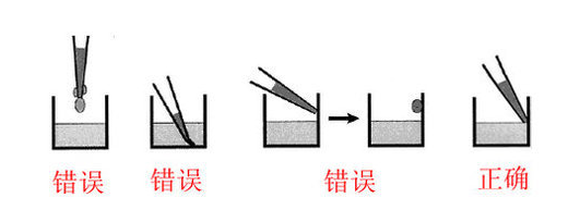 人补体调节蛋白(CCP)ELISA试剂盒