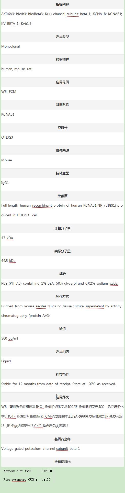 Anti-KCNAB1 Antibody (Clone#OT