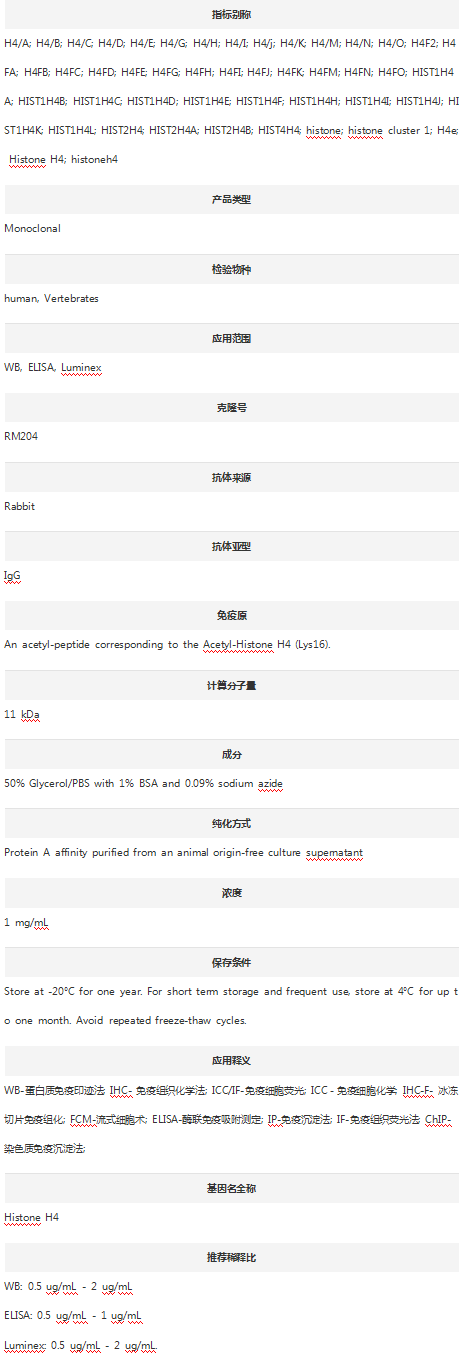 Anti-Acetyl-Histone H4/H4K16ac