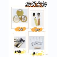 雀稗麦角菌