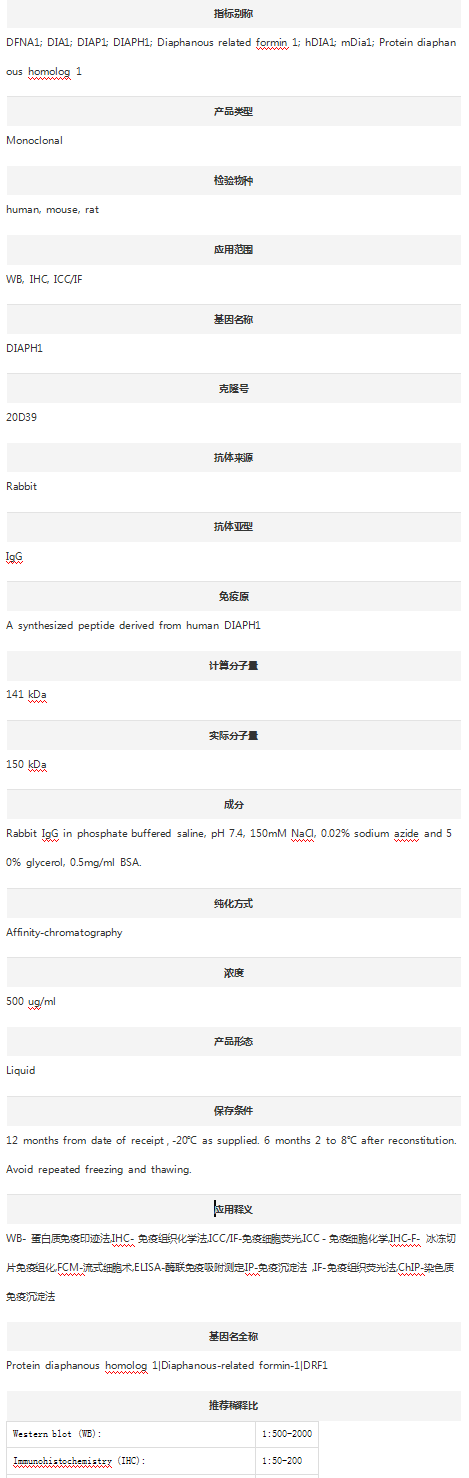Anti-mDia1/DIAPH1 Antibody (Cl