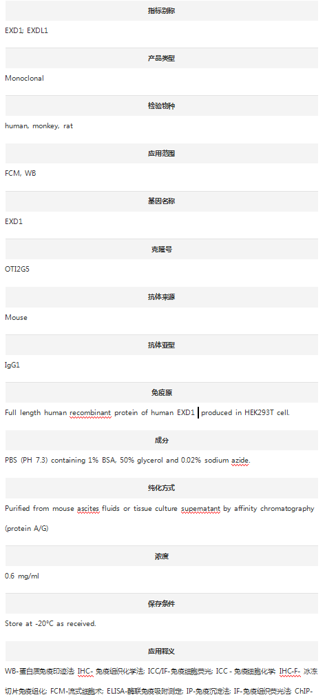 Anti-EXD1 Antibody (Clone#OTI2