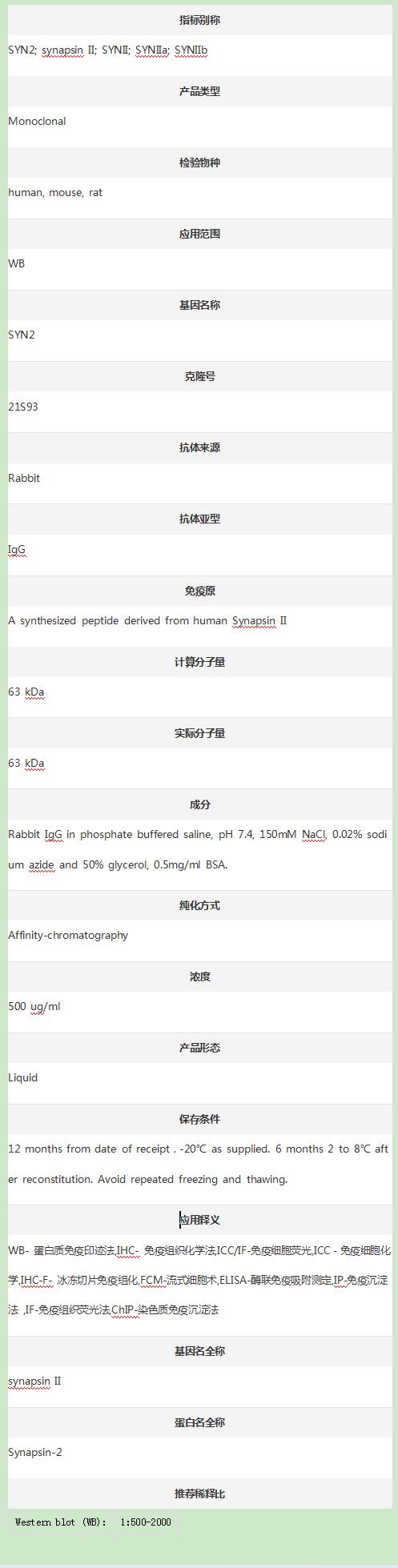 Anti-SYN2 Antibody (Clone#21S9