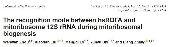 文献盘点| 2023年度Clinx勤翔助力生命科学研究部分已发表文献