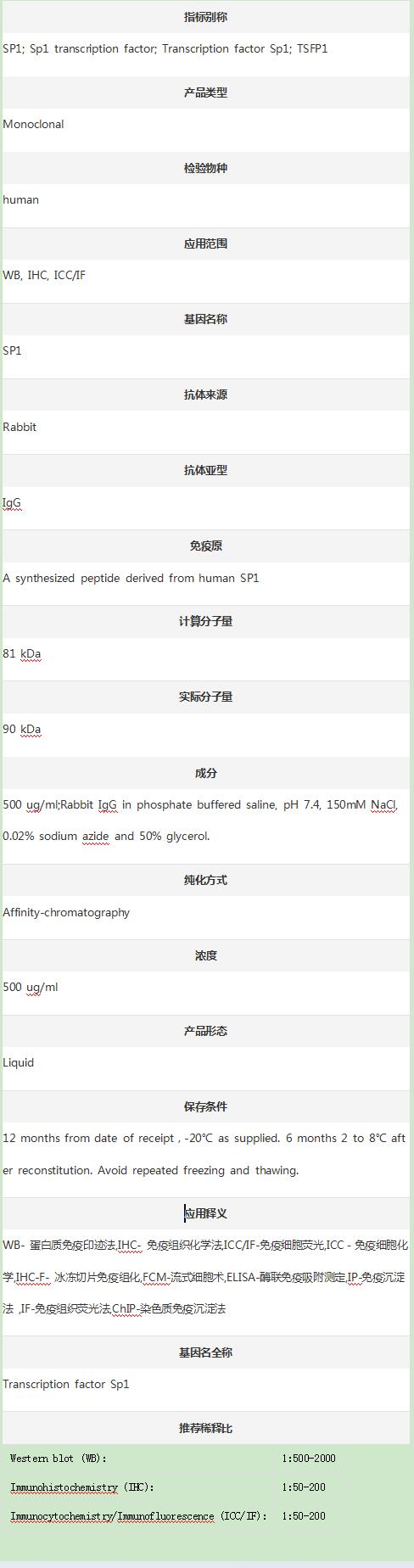 Anti-SP1 Antibody