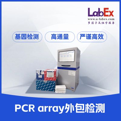 乐备实PCR array（PCR芯片）代检测服务，基因检测，筛选利器，实验外包