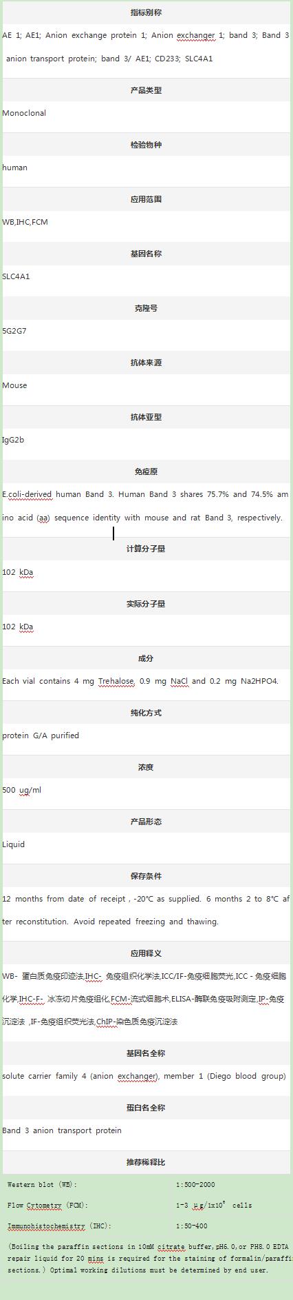Anti-Band 3/AE1/SLC4A1 Antibod