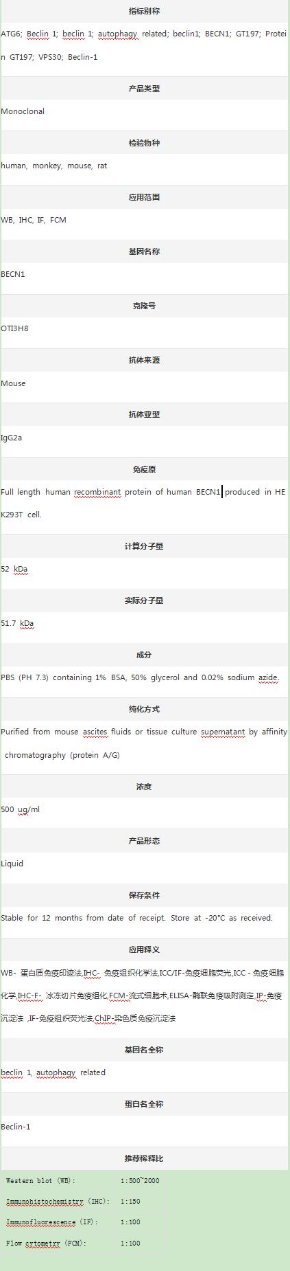 Anti-Beclin 1/BECN1 Antibody (
