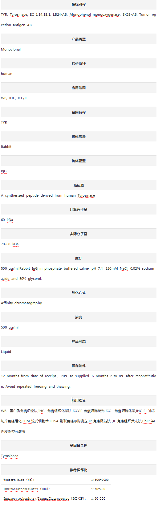 Anti-Tyrosinase/TYR Antibody