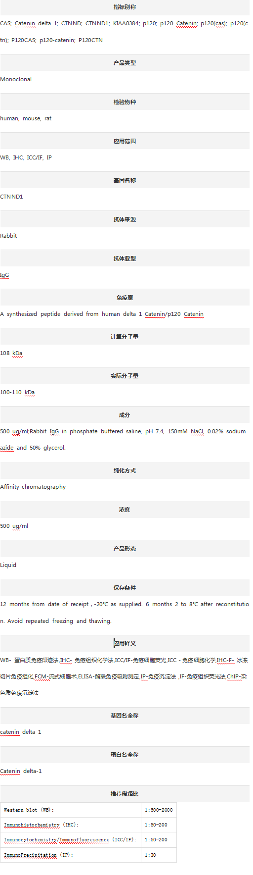 Anti-p120 Catenin/CTNND1 Antib