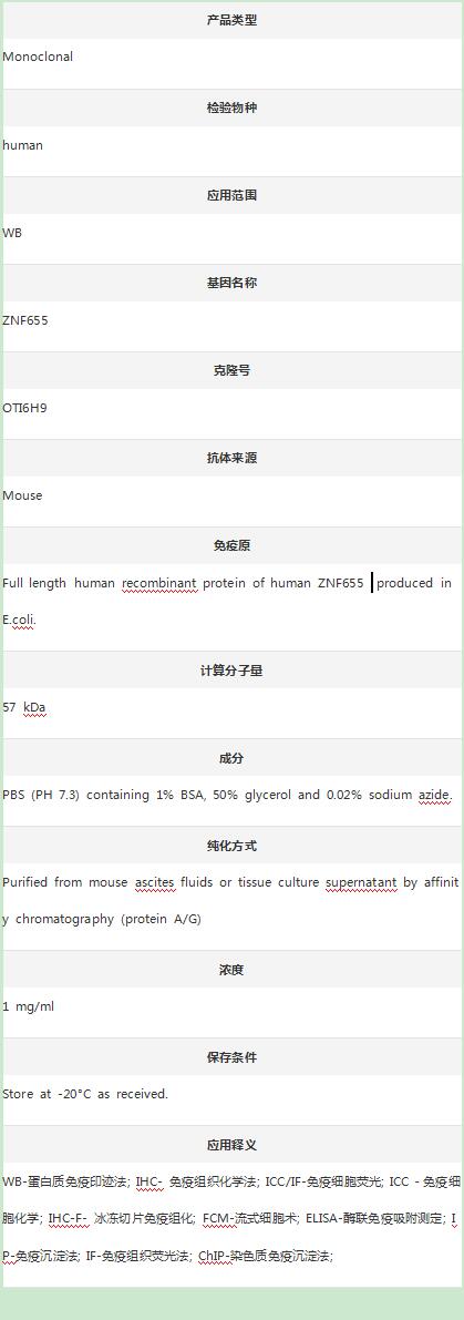 Anti-ZNF655 Antibody (Clone#OT