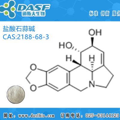 石蒜提取物 盐酸石蒜碱 1%-99% CAS:2188-68-3 生产厂家