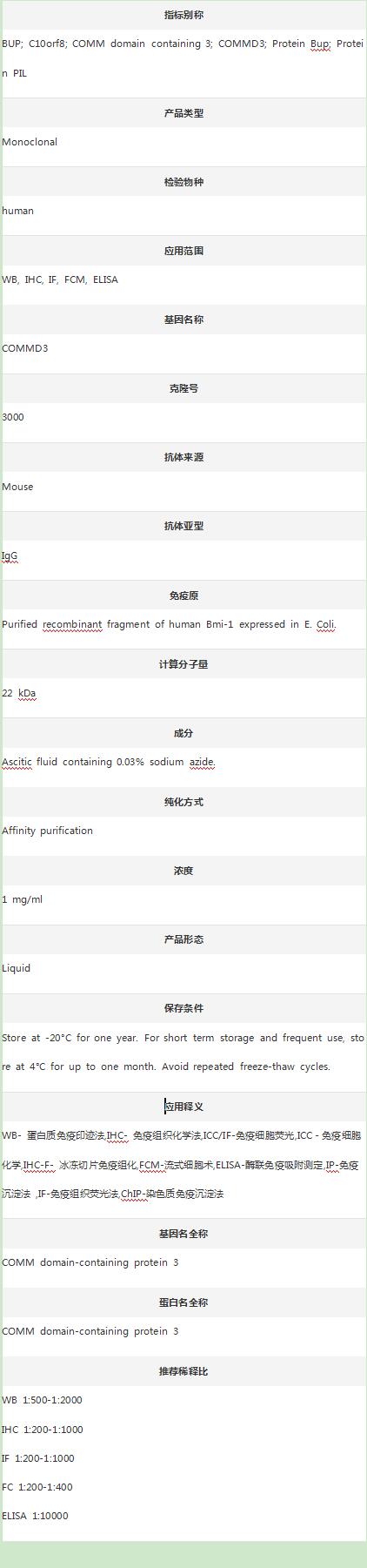 Anti-COMMD3 Antibody