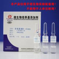 多粘菌素B（1万单位）HB0248a   1万单位*5支