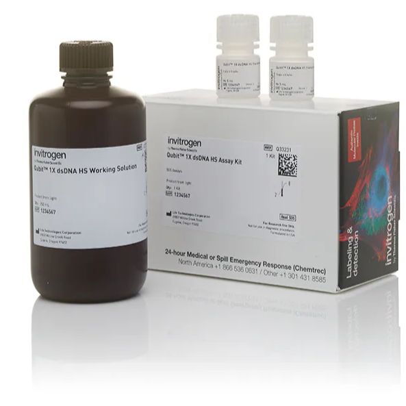 QubitTM1X dsDNA高灵敏度(HS)和宽范围(BR)定量试剂盒