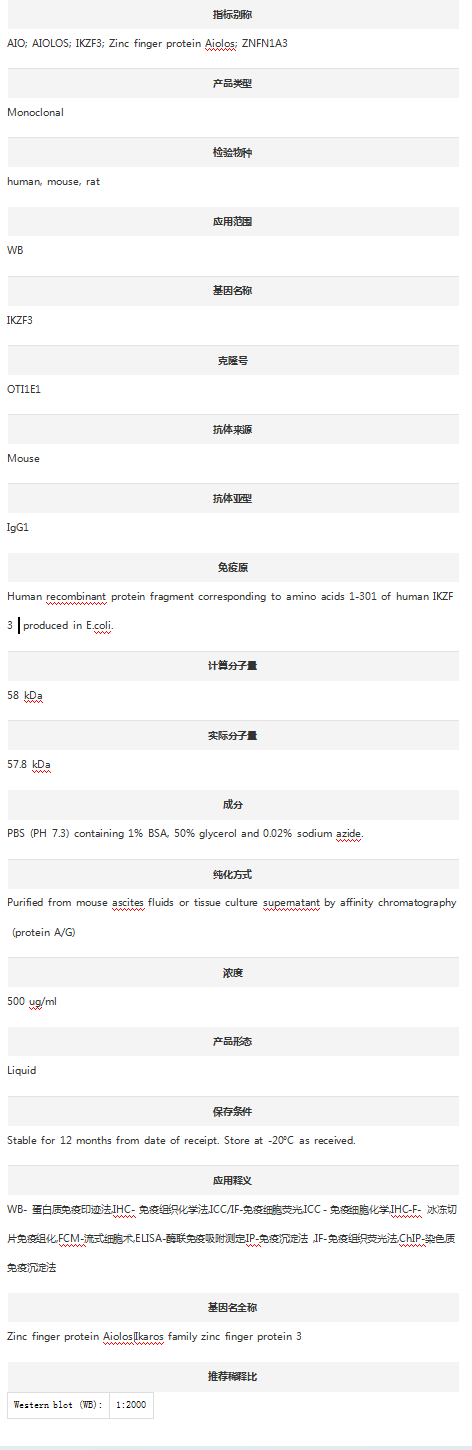 Anti-IKZF3 Antibody (Clone#OTI