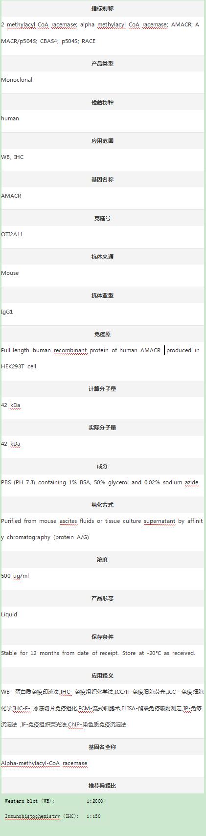 Anti-p504S/AMACR Antibody (Clo