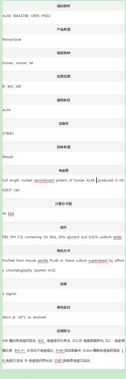 Anti-ALX4 Antibody (Clone#OTI6