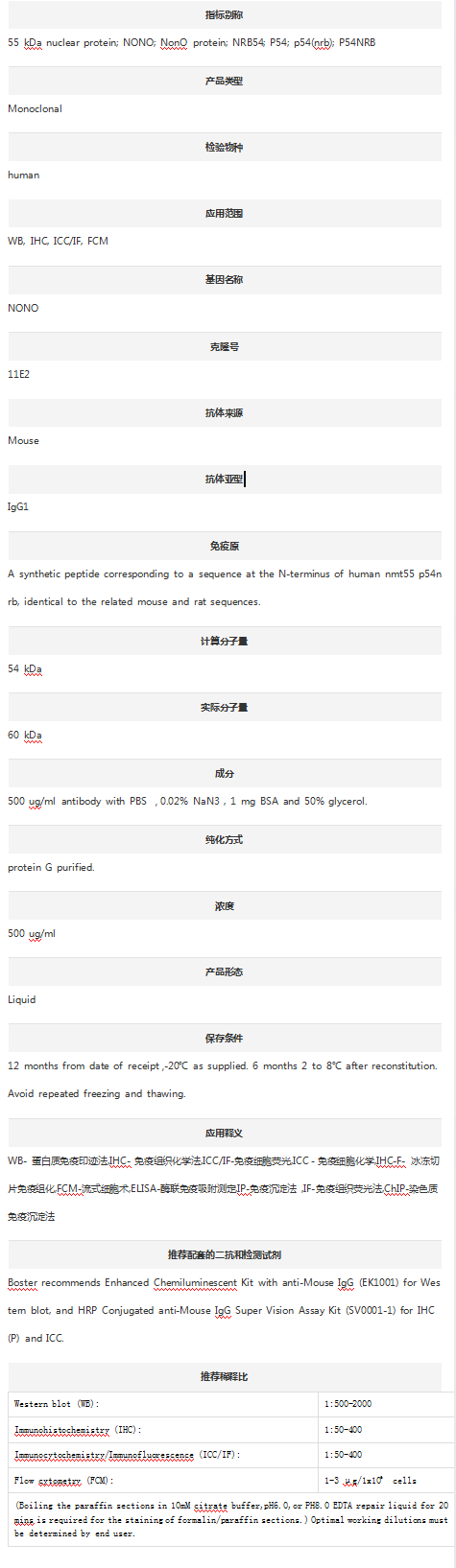 Anti-NONO Antibody (Clone#11E2