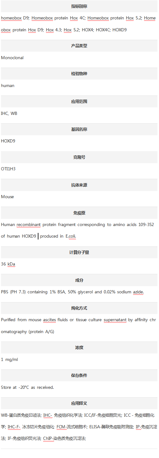 Anti-HOXD9 Antibody (Clone#OTI
