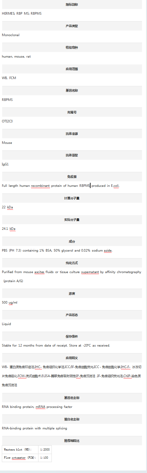 Anti-RBPMS Antibody (Clone#OTI